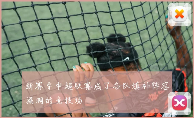 新赛季中超联赛成了各队填补阵容漏洞的竞技场