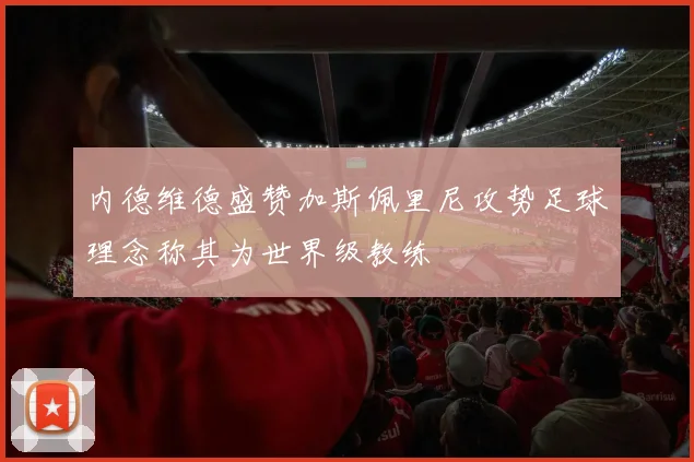 内德维德盛赞加斯佩里尼攻势足球理念称其为世界级教练
