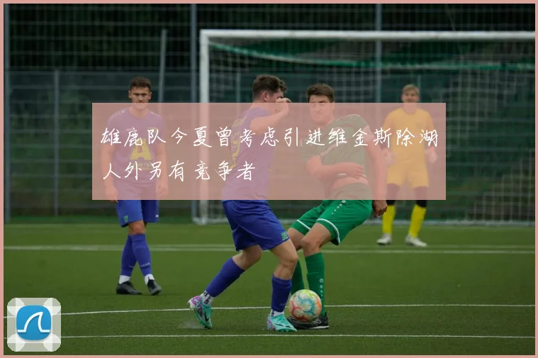 雄鹿队今夏曾考虑引进维金斯除湖人外另有竞争者