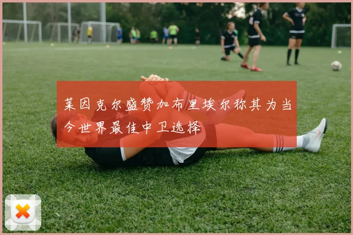 莱因克尔盛赞加布里埃尔称其为当今世界最佳中卫选择